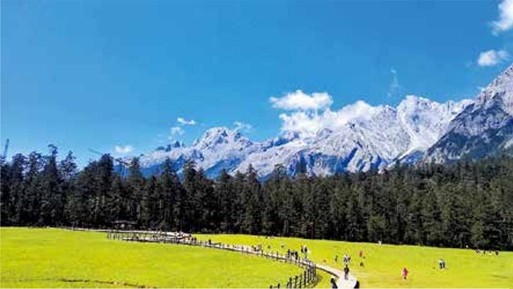 lijiang yunshanping summer meadow yulong snow mountain 麗江雲杉坪夏季高山草甸與玉龍雪山雪峰景觀,綠色草地、森林及遊客步道相映成景