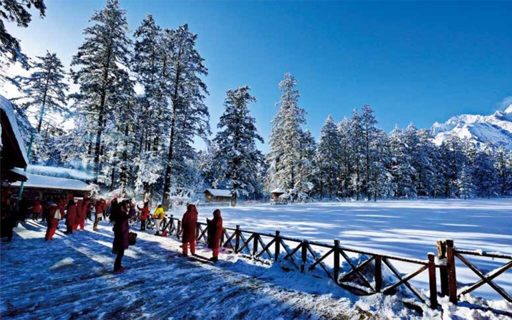 lijiang yunshanping winter snow forest yulong mountain 麗江雲杉坪冬季雪景,積雪森林、高山湖泊與玉龍雪山構成壯麗自然景觀