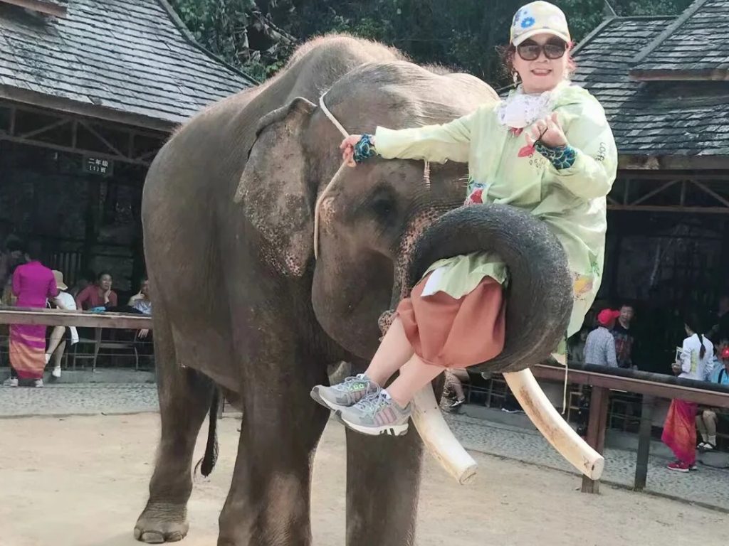 yunnan kunming nationality village elephant show 雲南昆明民族村大象表演場,亞洲象用長鼻捲起遊客,背景是傣式木造屋舍與綠樹,現場還有其他觀眾,為園區特色大象互動表演,搭配民族歌舞,展現豐富的民族園區遊憩體驗。