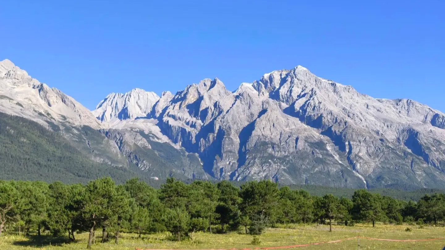 Vue sur la montagne enneigée de Yunshanping Yulong Dans le site touristique de Yunshanping, à Lijiang, sous un ciel bleu et dégagé, on aperçoit au loin le mont Yulong, une imposante montagne rocheuse aux teintes gris-blanc, avec au premier plan des prairies verdoyantes et des forêts d'épicéas : un paysage naturel grandiose typique du plateau.