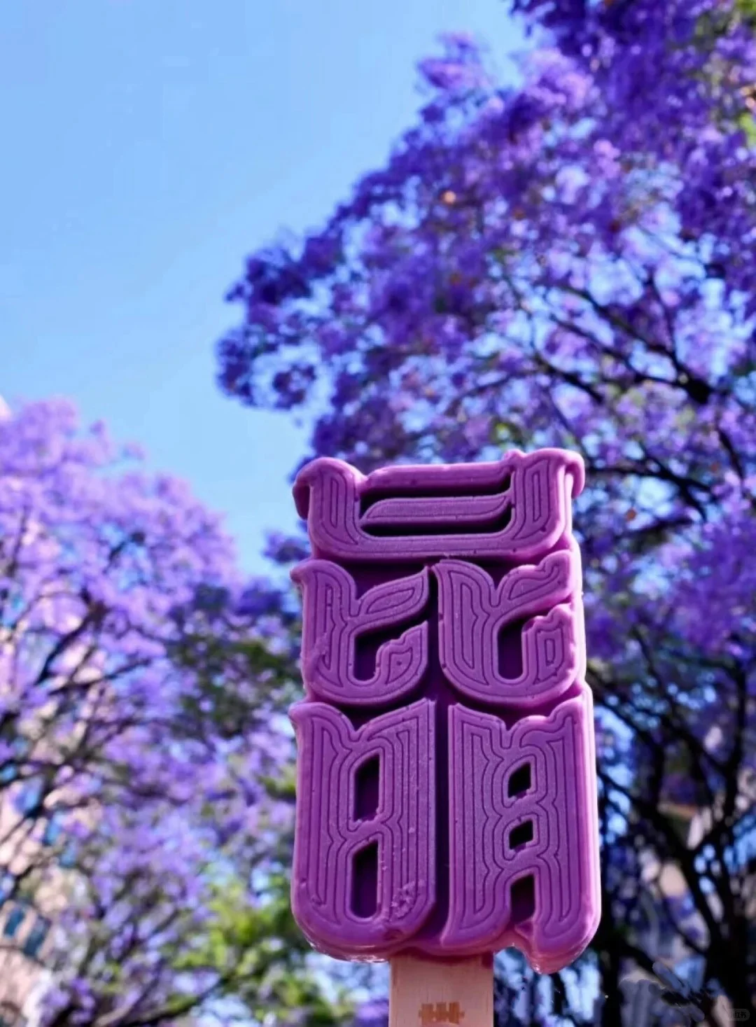 Kunming Jacaranda Kunming Jacaranda