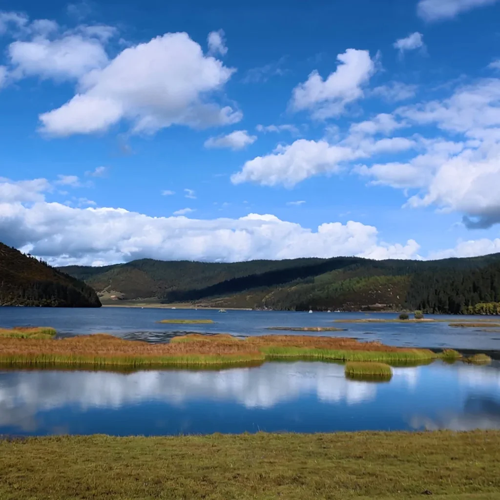 Shudu Lake 位于 属都湖 的高原湖泊景观,湖水清澈平静,周围草甸与森林环绕,远山起伏,蓝天白云倒映水中,风光宁静优美。