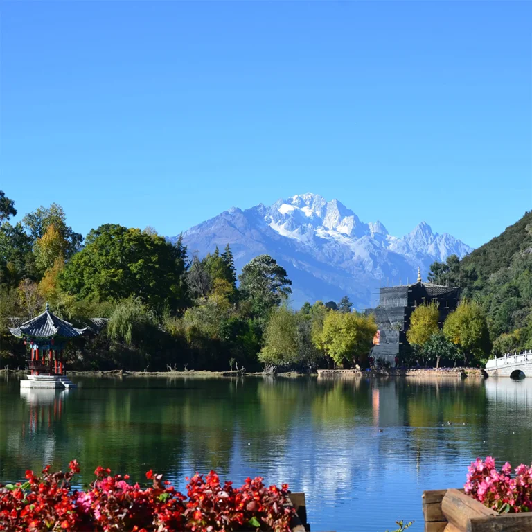 yunnan trip 雲南麗江的 黑龍潭 湖景與遠方的 玉龍雪山 同框入鏡。清澈湖水倒映著雪山、藍天與周圍的綠樹景觀,湖畔可見傳統中式亭子與古建築,景色寧靜而壯麗。前景鮮豔花卉點綴湖岸,使整個畫面呈現出層次豐富且富有詩意的自然與人文景觀。