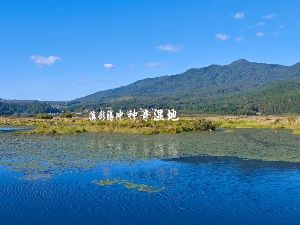 Tengchong Beihai Wetland Park Tengchong Beihai Wetland Park