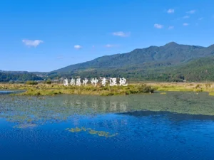 騰衝北海濕地公園，被稱為「神奇濕地」，擁有獨特的漂浮草排生態，是火山堰塞湖形成的高原濕地秘境。