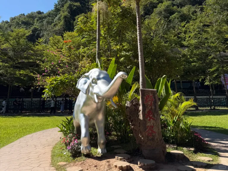 Wild Elephant Valley Scenic Area 2 西雙版納野象谷,中國唯一野生亞洲象原生雨林棲息地,萬畝熱帶原始雨林環抱,近距離追蹤野生象群蹤跡,雲南頂級雨林生態親子旅遊聖地。