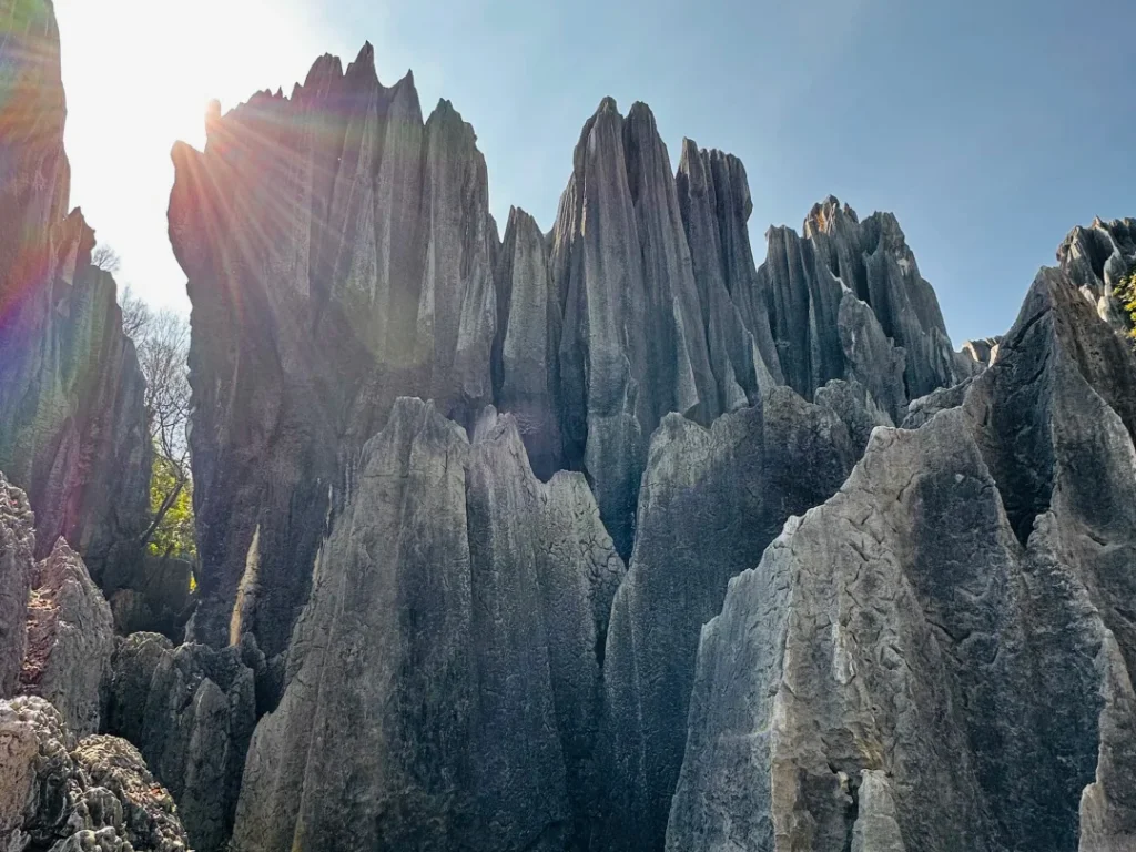stone forest 1 stone forest 1