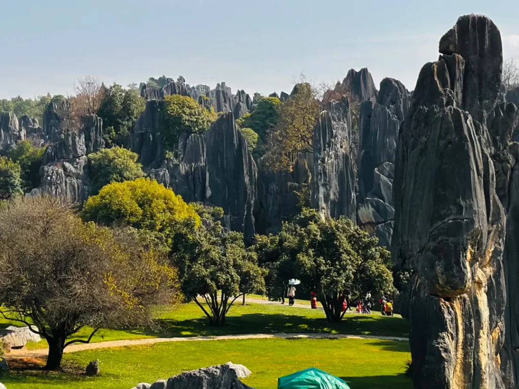 stone forest 2 stone forest 2